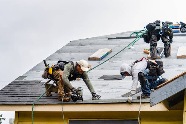 Professional Gutter Installation technician working in International Falls, MN